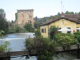 View all the posts for Italy